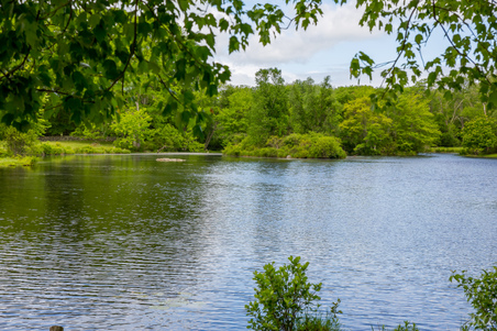 Enlarge photo 125