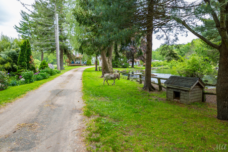 Enlarge photo 158