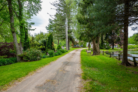 Enlarge photo 159
