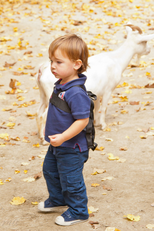 Enlarge photo 55