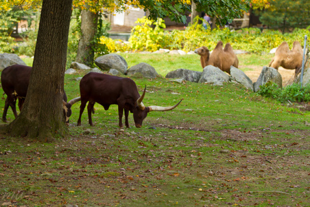 Enlarge photo 88