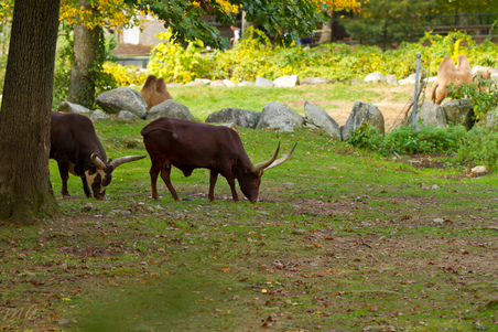 Enlarge photo 92