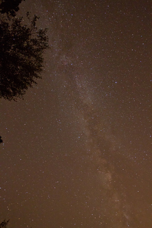 Enlarge photo 28
