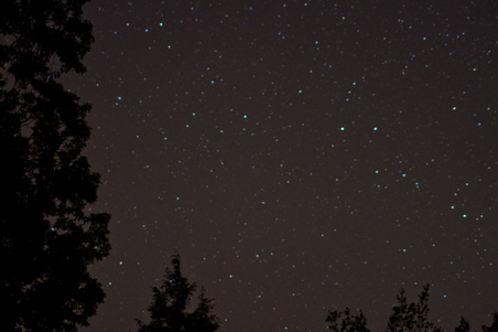 Enlarge photo 30