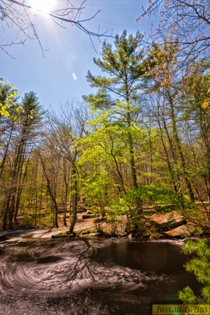 Enlarge photo 9