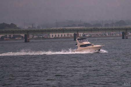 Enlarge photo 113