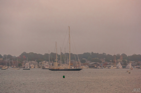 Enlarge photo 129