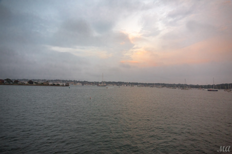 Enlarge photo 131