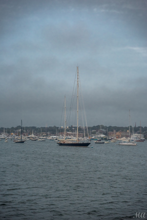 Enlarge photo 135