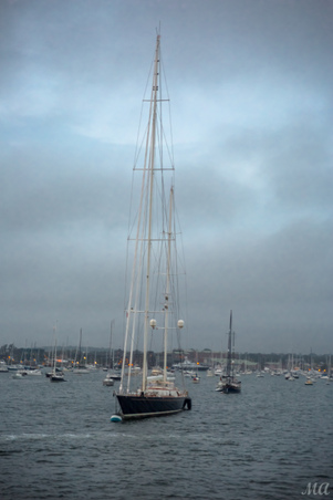 Enlarge photo 137