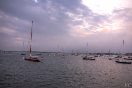 Enlarge photo 149