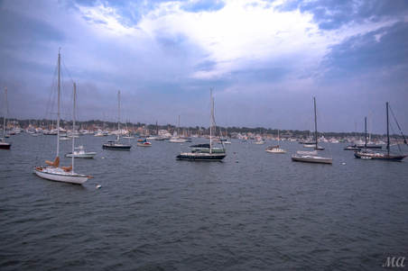 Enlarge photo 169