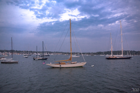 Enlarge photo 170