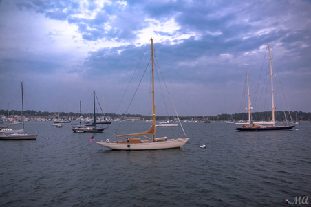 Enlarge photo 171