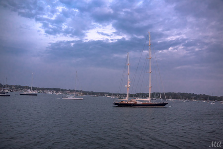 Enlarge photo 173