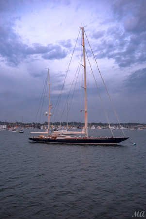 Enlarge photo 177
