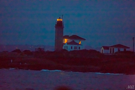 Enlarge photo 228
