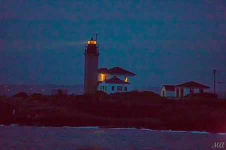 Enlarge photo 229