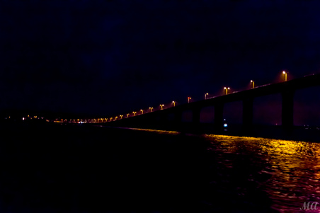 Enlarge photo 270