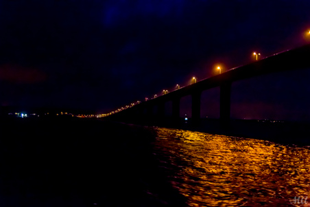 Enlarge photo 272