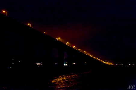 Enlarge photo 273