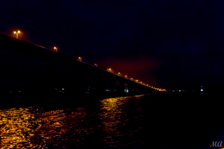 Enlarge photo 276