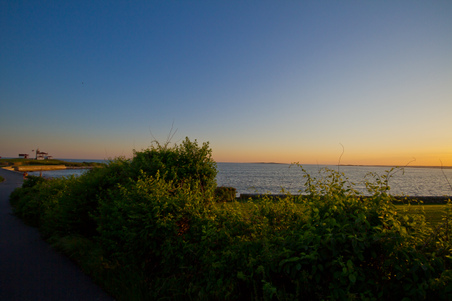 Enlarge photo 12