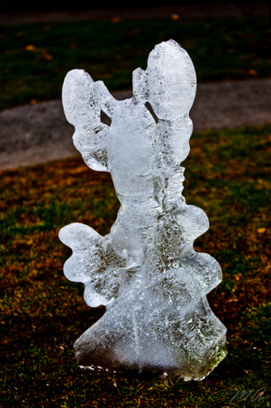 Enlarge photo 35