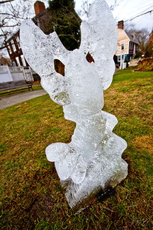 Enlarge photo 36