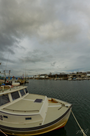 Enlarge photo 118