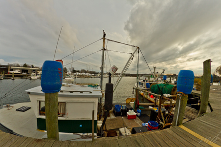 Enlarge photo 119