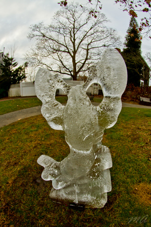 Enlarge photo 152
