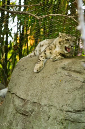Enlarge photo 82