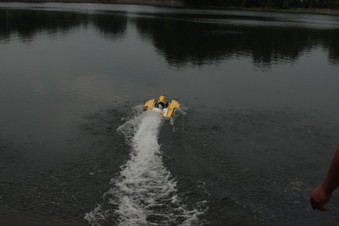 Enlarge photo 42