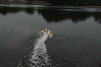 Enlarge photo 43