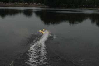Enlarge photo 44