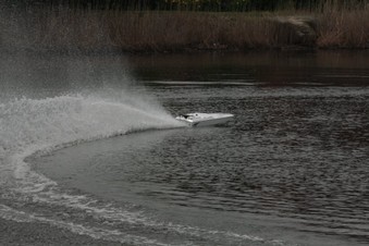 Enlarge photo 67