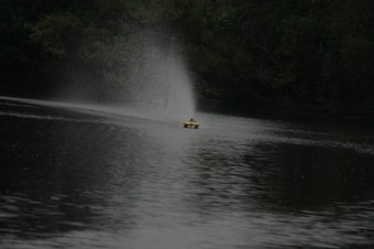 Enlarge photo 133