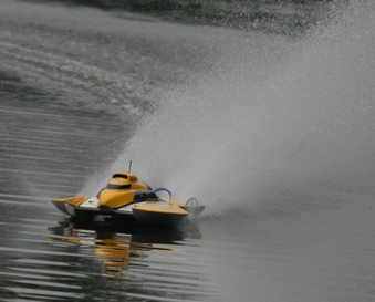 Enlarge photo 184