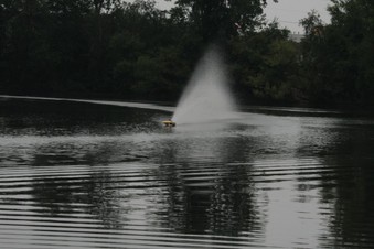 Enlarge photo 233