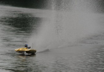 Enlarge photo 262