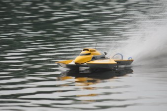Enlarge photo 274