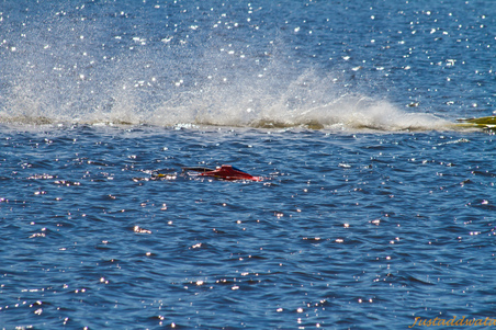 Enlarge photo 36