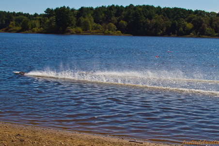 Enlarge photo 51