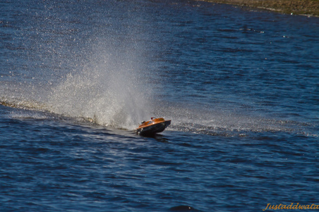 Enlarge photo 55