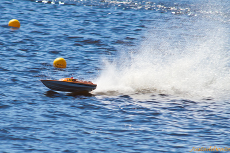 Enlarge photo 58