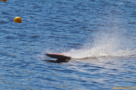 Enlarge photo 61