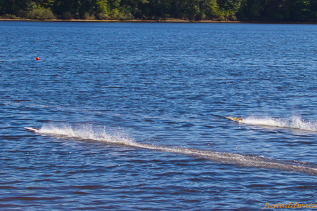 Enlarge photo 63