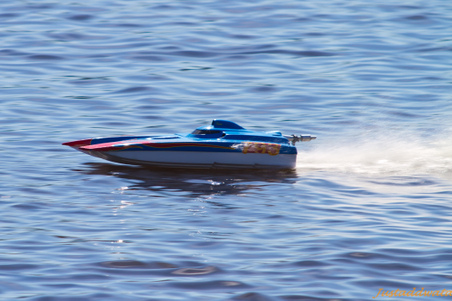 Enlarge photo 79