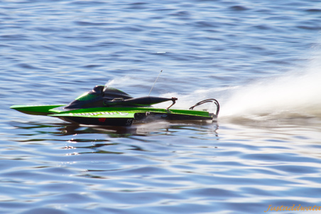 Enlarge photo 91